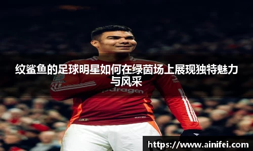 纹鲨鱼的足球明星如何在绿茵场上展现独特魅力与风采