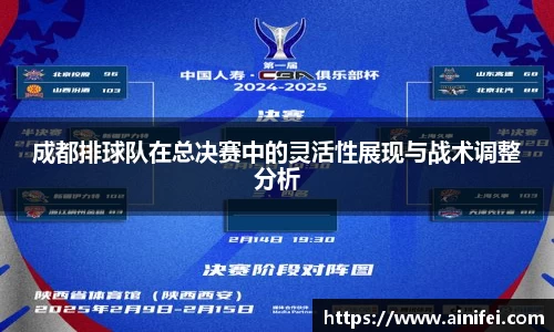 成都排球队在总决赛中的灵活性展现与战术调整分析